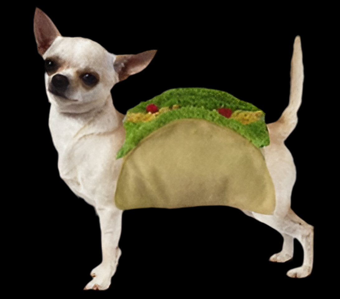 Taco Dog Costume