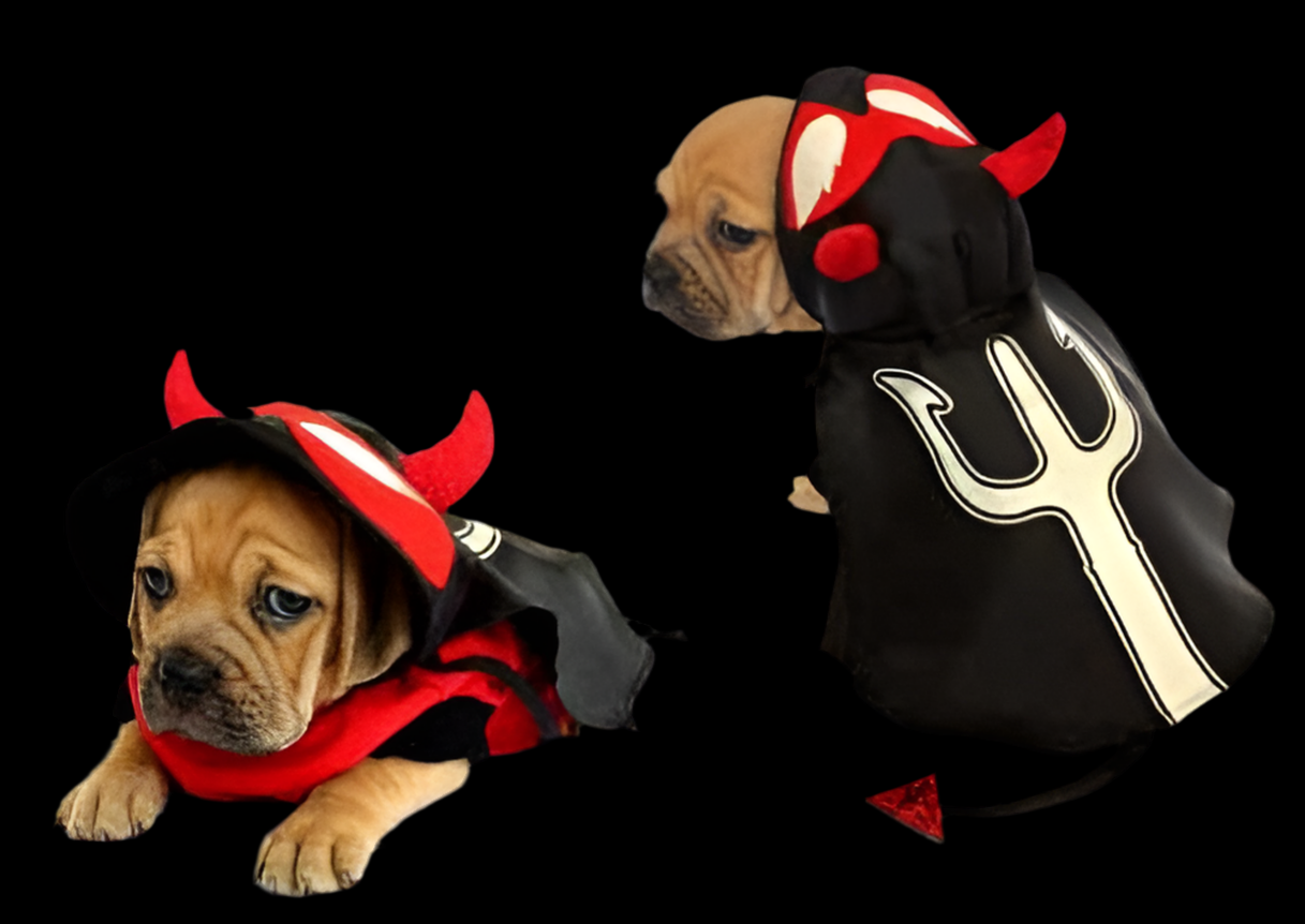 Devil Dog Costume