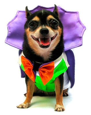 Dogula Costume