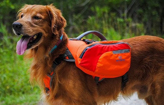 Multi-Purpose Dog Backpack Life Jacket