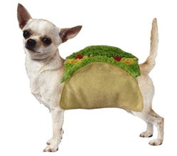 Taco Dog Costume