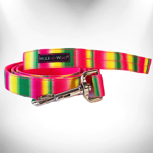 Pink/Green Tie Dye Dog Leash by WaLk-e-Woo